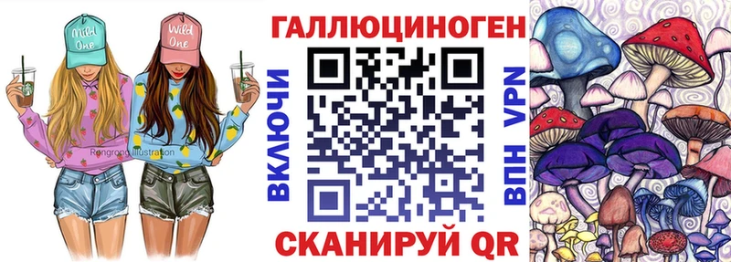 Псилоцибиновые грибы Psilocybine cubensis  купить   Ахтырский 